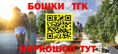 прущие грибы Комсомольск-на-Амуре