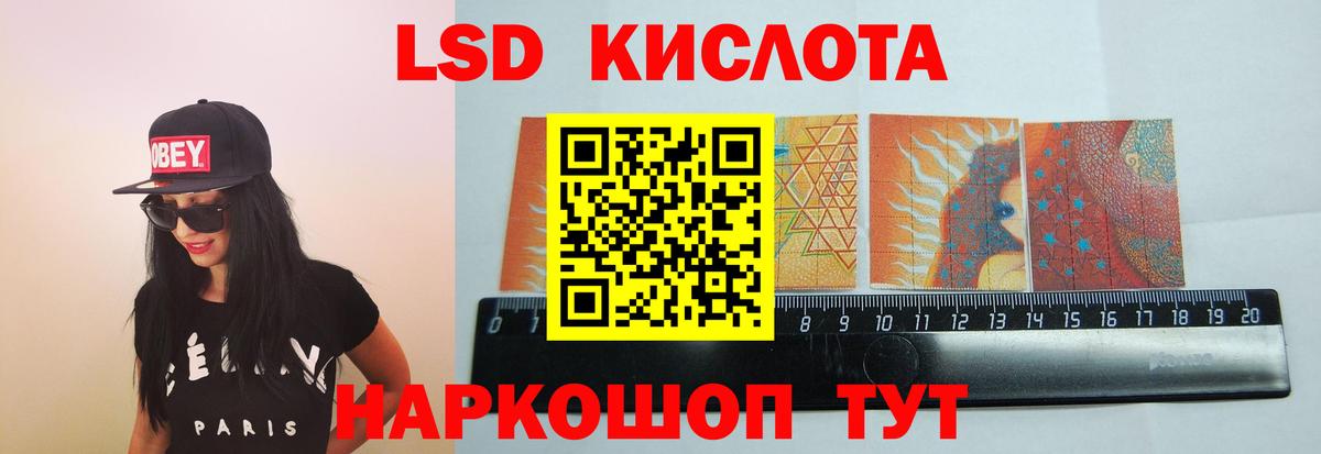 Галлюциногенные грибы Кандалакша