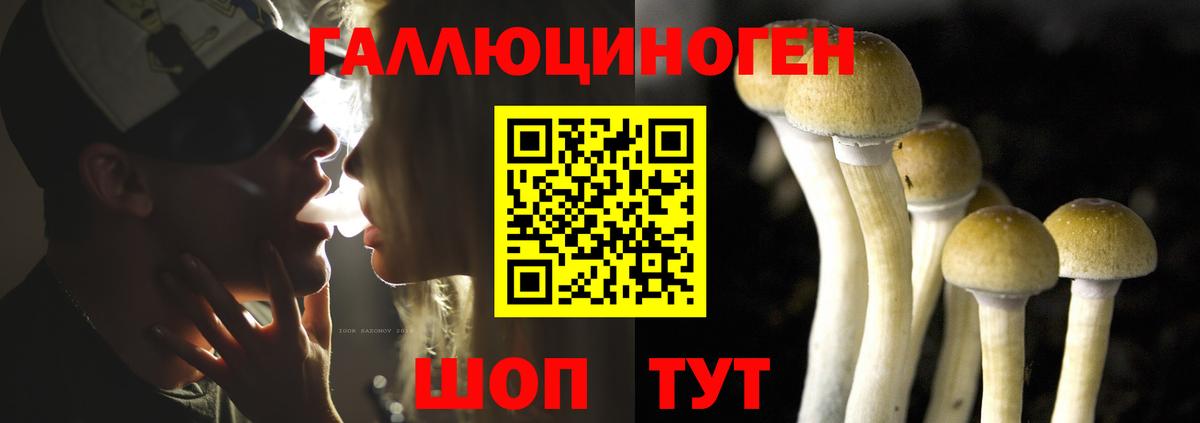 Кандалакша  Галлюциногенные грибы мухоморы  Вход с VPN 